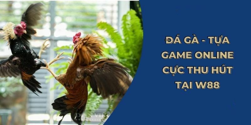 Khám phá sảnh game chọi gà WW88 cực hot