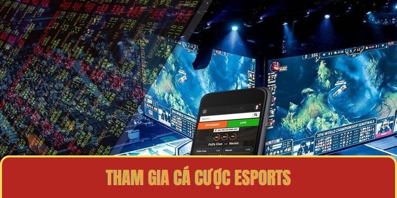 Tham gia cá cược Esports